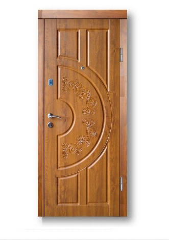 Вхідні двері в квартиру БЕЗПЛАТНА ДОСТАВКА, фото 1