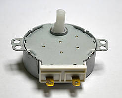 Двигун приводу тарілки для мікрохвильовки 49TYZ (21V)