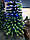 Світна світлодіодна оптоволоконна ялинка 210 см, 7 режимів vip210, фото 7