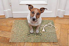 Підставка-нагрівач з QSB 160 Вт ТРІО (62х50 см, t = 60 C)