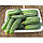 Насіння огірка Сатина F1, 1000 насінин, фото 4