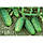 Насіння огірка Кібрія F1, 1000 насінин, фото 4