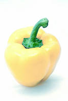 Насіння перцю Діментіо F1, 500 насінин.