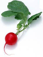 Насіння редиски Джоллі, 100 грам