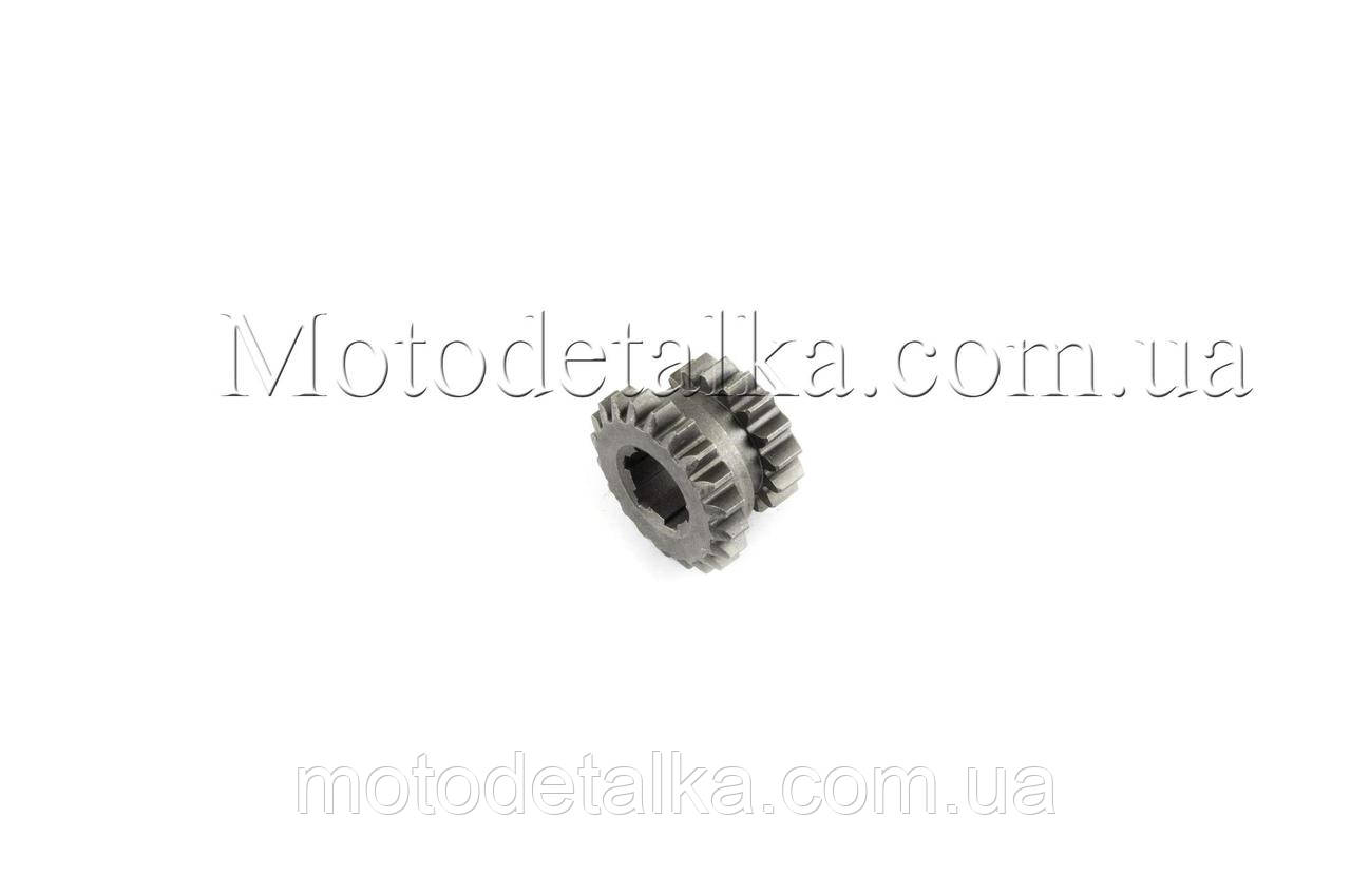 Шестірня первинна головного вала м/б 168F/170F (6,5/7Hp) 