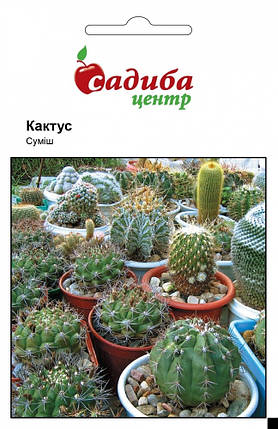 Насіння кактуса Кімнатний суміш 0,1 г, Нім Zaden, фото 1