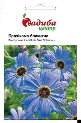 Насіння брахікоми Блакитна 0,1 г, Нім Zaden, фото 1