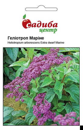 Насіння геліотропу Марині 0,1 г, Нім Zaden, фото 1