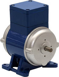 Асинхронні двигуни однофазні FCJ4C32