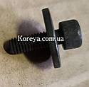Болт кріплення помпи Ланос Авео GM оригінал 94501228, фото 3