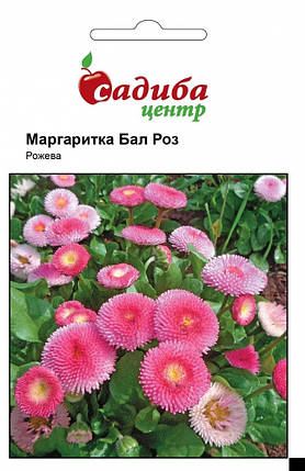 Насіння маргартики Стокротка Бал Троянд 0,1 г, Нім Zaden, фото 1