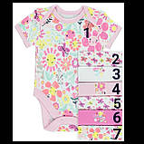 Гарні боді з коротким рукавом George 18-24 міс! Поштучно!, фото 6