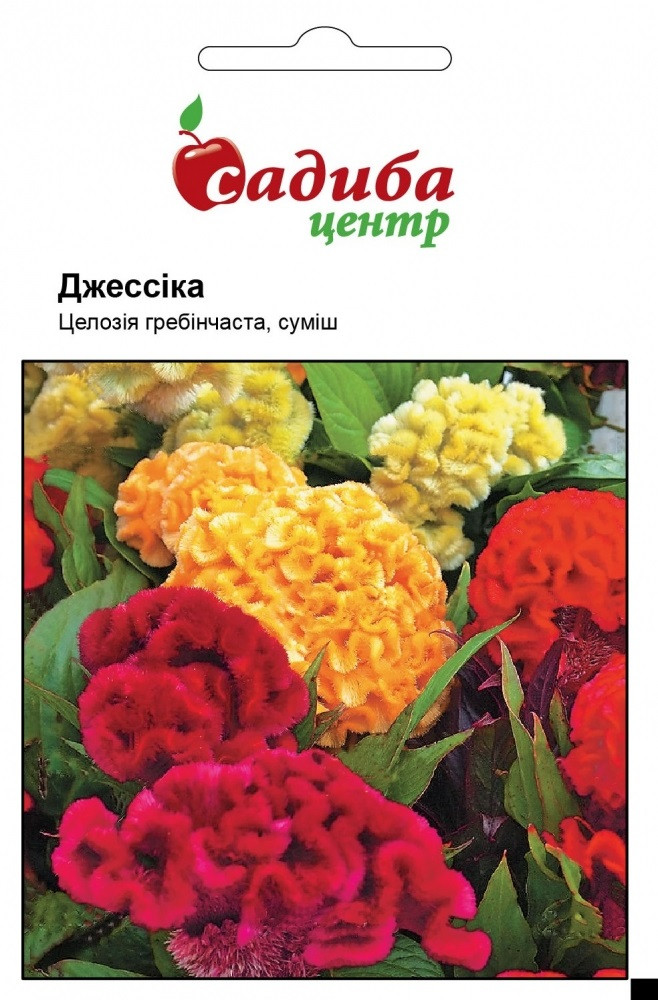 Насіння целозії гребінцевої Джессіка суміш 0,03 г, Hем Zaden