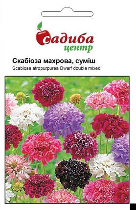 Насіння скабіози махрова суміш 0,3 г, Нім Zaden, фото 1