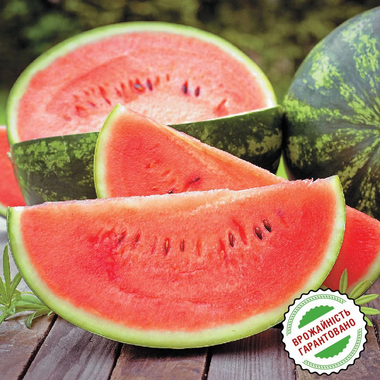 ВАРДА F1 / VARDA F1, 8 насіння — кавун, Nickerson Zwaan