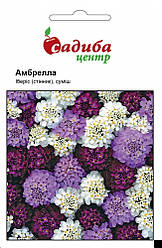 Насіння іберіса Амбрелла суміш 0,5 г, Нім Zaden