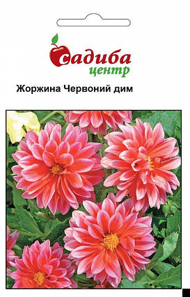 Насіння жоржини Червоний дим 0,1 г, Нім Zaden, фото 1