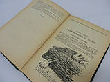 Бажанів С.А. Що таке радіолокація (б/у)., фото 7