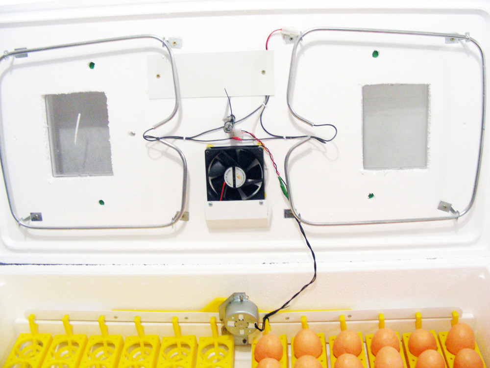 Малогабаритный бытовой инкубатор ИБ-100-А с автоматическим переворотом - фото 3 - id-p30043772