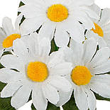 Букет ромашки бордюр, 21см (50 шт в уп), фото 3
