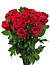 Букет троянд для жінки, фото 2