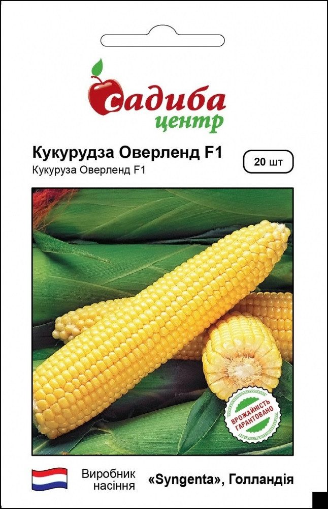 Насіння кукурудзи Оверленд F1 20 шт, Syngenta