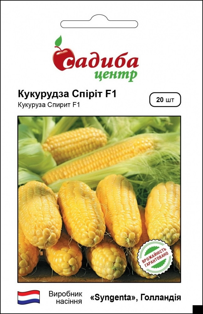 Насіння кукурудзи Спіріт F1 20 шт, Syngenta