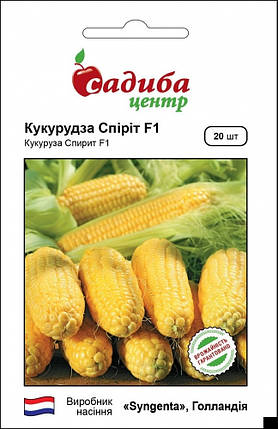 Насіння кукурудзи Спіріт F1 20 шт, Syngenta, фото 1