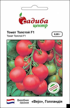 Насіння томатів Толстой F1 0,05 г, Bejo Zaden, фото 1