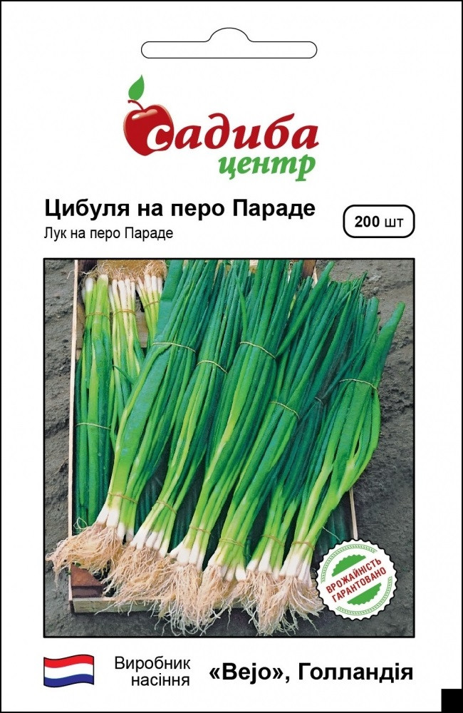 Насіння цибулі на перо Параді 200 шт, Bejo Zaden