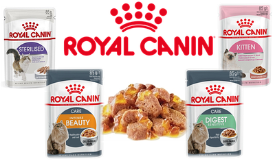 Вологий корм для кішок Royal Canin