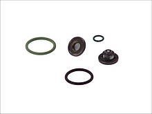 Р/к насосу підкачки Mercedes 2447010021 (BOSCH)