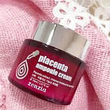 Крем для обличчя з фітоплацентою Zenzia Placenta Ampoule Cream, фото 3