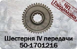 50-1701216 Шестерня IV передавання МТЗ-80 z=40