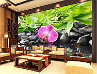 Фотообои "Бамбук и орхидея на камнях" - Любой размер! Читаем описание!