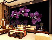 Фотошпалери "Фіолетові орхідеї на чорному" - Будь-який розмір! Читаємо опис!