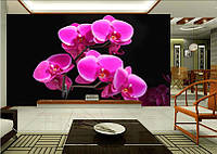 Фотообои "Орхидея на камнях" - Любой размер! Читаем описание!
