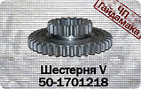 50-1701218 Шестерня V передавання і з. х. z = 19/38 мтз, фото 3