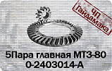 Головна пара шестерень МТЗ-80 50-2403014 А, фото 3