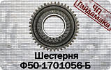 Шестірня проміжна КПП МТЗ (Z-43/26) Ф50-1701056-Б, фото 3