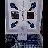 Інкубатор Насідка 120 механічний цифровий пінопласт литий 4 лампочки, фото 2