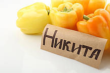 Насіння Перець солодкий Микита F1 поштучно 50 насіння Clause, фото 6