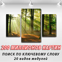 Картина Ранок у лісі , на Полотні сін., 45х70 см, (30x20-2/45x25), фото 3