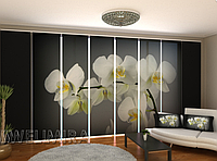 Панельная фото штора " Песня Орхидеи 8" 480 х 240 см