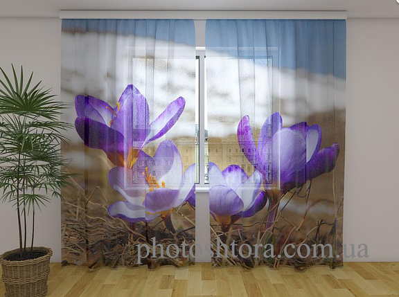 ФотоТюль Крокуси 2 250 см х 260 см фото тюль з малюнком квіти, фото 2