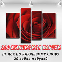 Картина на полотні Червона Троянда 65x85 см, (40x20-2/65х18/50x18), фото 3