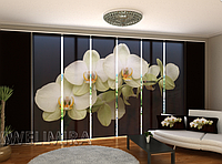 Панельная фото штора "Замечательные орхидеи" 480 х 240 см