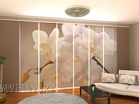 Панельная фото штора "Элегантная орхидея" 480 х 240 см