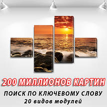 Інтернет магазин картин купити модульну картину на Полотні сін., 60x85 см, (18x20-2/50х18-2), фото 3