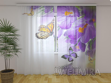 ФотоТюль Крокуси і метелики 250 см х 260 см фото тюль з малюнком